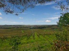 Dpt Gers (32), à vendre Proche de RISCLE château T6 de 327 m² habitables + 580 m² de dépendances attenantes sur 8157 m² de terrain