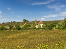 Dpt Gers (32), à vendre Proche de RISCLE château T6 de 327 m² habitables + 580 m² de dépendances attenantes sur 8157 m² de terrain