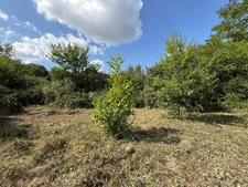 Dpt Hautes Pyrénées (65), à vendre LALANNE Maison à ossature bois inachevée T2 de 70 m² habitables sur 1756 m² de terrain, au calme