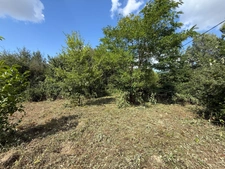 Dpt Hautes Pyrénées (65), à vendre LALANNE Maison à ossature bois inachevée T2 de 70 m² habitables sur 1756 m² de terrain, au calme
