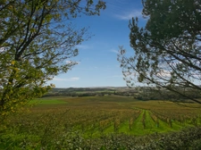 Dpt Gers (32), à vendre Proche de RISCLE château T6 de 327 m² habitables + 580 m² de dépendances attenantes sur 8157 m² de terrain
