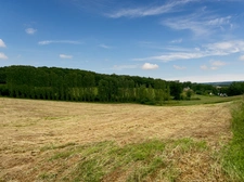 Dpt Gers (32), à vendre proche de RISCLE terrain de 1,8 hectares dont 4000 m² à bâtir, au calme avec vue