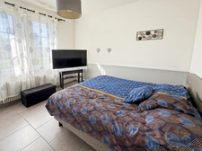 Gers (32) department, for sale in Barcelonne-du-Gers: 5-room house (T5) with 155 m² of living space + large garages, outbuildings and swimming pool on 8678 m² of land, in a quiet location