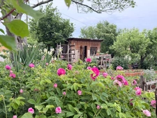 Maison à vendre 8 pièces LOUIT (65)