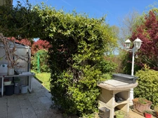 Maison à vendre 0 pièces JACQUE (65)