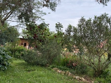 Maison à vendre 8 pièces LOUIT (65)