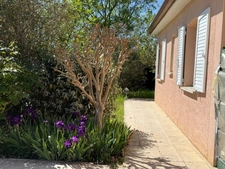 Maison à vendre 0 pièces JACQUE (65)