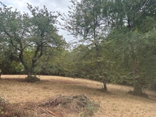 Terrain à vendre de 2 247,00 m²  ()