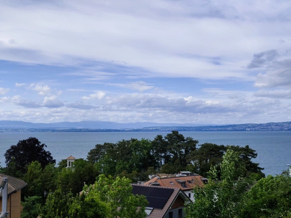 Appartement à vendre 2 pièces EVIAN LES BAINS (74)
