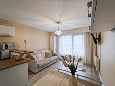 Appartement à vendre 1 pièce - 26,87m² - CHATEL (74390)