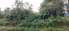 Terrain à vendre 362m² - ALLINGES (74200)