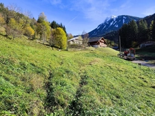 Terrain à vendre - 913m² - SAINT JEAN D'AULPS (74)