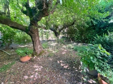 House for sale in Digne-les-Bains – 115 m², 4 bedrooms, 300 m² garden with trees, great potential