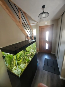 Grande maison familiale avec piscine à Damparis : l'espace dont votre famille rêve !