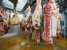 Dpt Haute Savoie (74), à vendre proche de ANNECY Boucherie - Charcuterie 