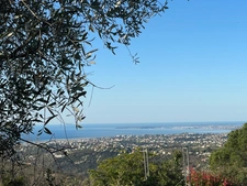 Rare Opportunity – Villa with Sea View on the heights of Nice