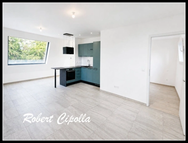 Attique T2 Metz _51,5m²_très grande terrasse de 41m² parking inclus + cuisine équipée
