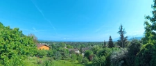🌳 Rare à la vente : Terrain arboré de 606 m² avec vue dégagée – St-Nazaire-en-Royans