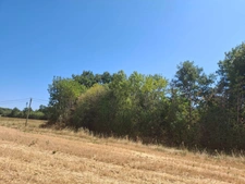 🌿A vendre - Roybon (38940) – 3 parcelles de terrain agricole avec potentiel de loisirs et d'activités nature