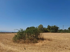 🌿A vendre - Roybon (38940) – 3 parcelles de terrain agricole avec potentiel de loisirs et d'activités nature