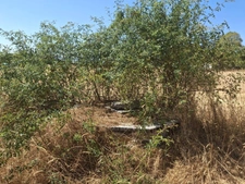 🌿A vendre - Roybon (38940) – 3 parcelles de terrain agricole avec potentiel de loisirs et d'activités nature