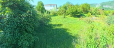 🌳 Rare à la vente : Terrain arboré de 606 m² avec vue dégagée – St-Nazaire-en-Royans
