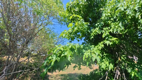 CHASSELAY (38470) – Terrain de 759 m² – Un cadre paisible pour donner vie à votre projet