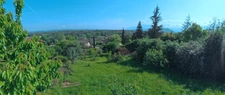 🌳 Rare à la vente : Terrain arboré de 606 m² avec vue dégagée – St-Nazaire-en-Royans