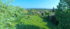 🌳 Terrain arboré de 606 m² – Un écrin de verdure au cœur de Saint-Nazaire-en-Royans (26190)
