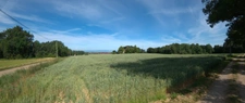 🌿A vendre - Roybon (38940) – 3 parcelles de terrain agricole avec potentiel de loisirs et d'activités nature