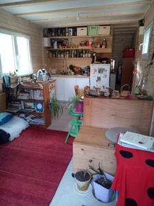 🌿 Tiny House de plain-pied – Un studio en bois au cœur de vos projets
