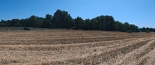 🌿A vendre - Roybon (38940) – 3 parcelles de terrain agricole avec potentiel de loisirs et d'activités nature