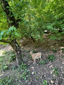 🏡 Corp de ferme en Nord Drome