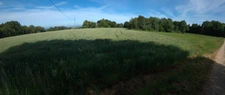 🌿A vendre - Roybon (38940) – 3 parcelles de terrain agricole avec potentiel de loisirs et d'activités nature