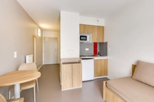 appartement à vendre 1 pièces IVRY SUR SEINE (94)