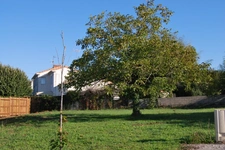 beau Terrain à vendre de 420 m²  