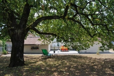 Maison de plain-pied avec jardin arboré à Saint-Cybard, Angoulême