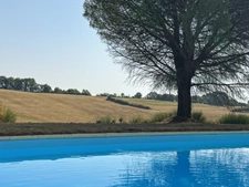 Maison à vendre 2 pièces avec piscine BAZIAN (32)