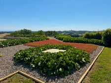 House for sale in Marciac (32) - 175 m2 of living space - 4392 m2 plot - Pyrenees view