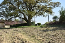 Gers department (32), for sale near Aignan - Land of 4,817 m²
