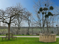 For sale near MARCIAC (32) - 32-room castle - 1540 m2 of living space - 5.8 hectare estate 