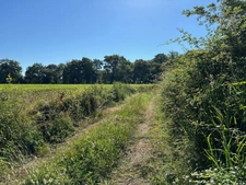 Dpt Gers (32), for sale near LE HOUGA P5 house of 180 m² - Land of 15 Ha 