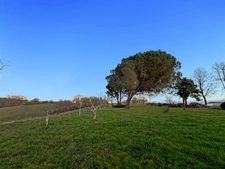 House for sale, 6 rooms, LUPIAC (32) - 218 m2 - Land 2840 m2