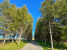 Dpt Gers (32) - for sale near AUCH building of 240 m2 and building land of 3000 m2