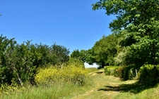 Dpt Gers (32), à vendre BAZIAN propriété P12 de 430 m² avec piscine et terrain de tennis - Terrain de 1,60 Ha 