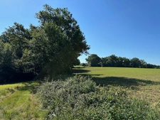 Dpt Gers (32), for sale near LE HOUGA P5 house of 180 m² - Land of 15 Ha 