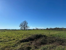 Dpt Gers (32), AIGNAN for sale land of 4,400.00 m²