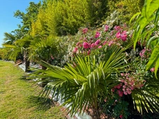 House for sale in Marciac (32) - 175 m2 of living space - 4392 m2 plot - Pyrenees view