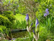 House for sale with 155 m2 of living space in LADEVEZE RIVIERE (32) with 3330 m2 of garden