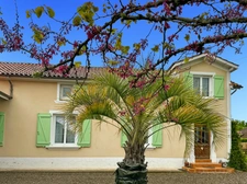 House for sale with 155 m2 of living space in LADEVEZE RIVIERE (32) with 3330 m2 of garden